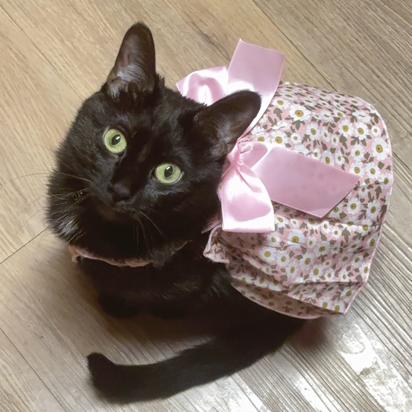 pinkygirl3